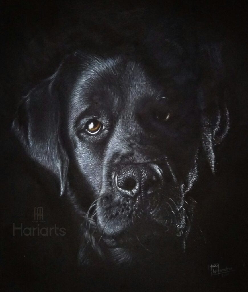 potrait 1